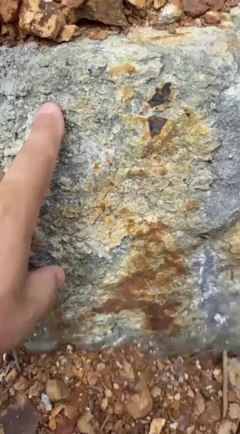 Mão apontando para um afloramento de rocha com manchas amareladas de óxido de ferro e um cristal escuro, em área de campo no Pará